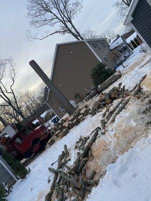 Eds Tree & landscaping