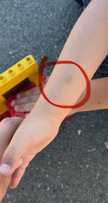 Cherryland Elementary School