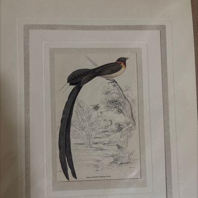 Andy’s Art Antiques & Oddities