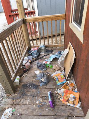 Squeaky Clean Sisters