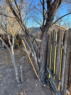 Express Remodeling and Painting