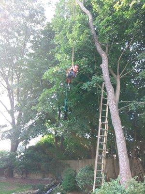Tree Service By Chris