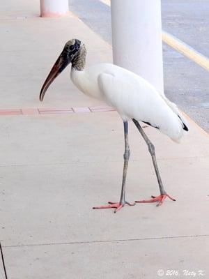 One Stop West Indies Restaurant