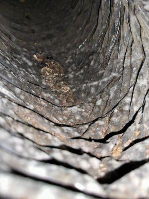 Music City Duct Cleaning