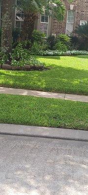 Julio's H Lawns Service