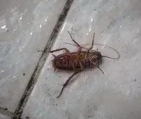 Switzerland Point Middle School