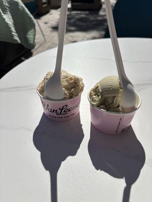 Van Leeuwen