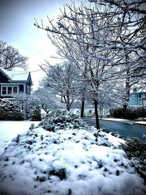 Expert in beautiful communities of Long Island, Queens, and New York City