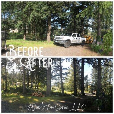 Wever's Tree Service