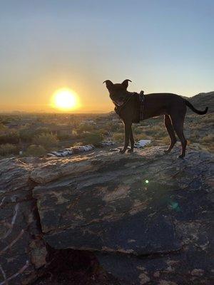 Creating Moments of Joy