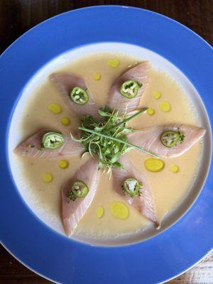 Yellowtail Crudo