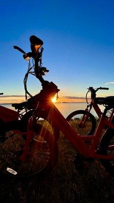 Tampa Bay eBikes