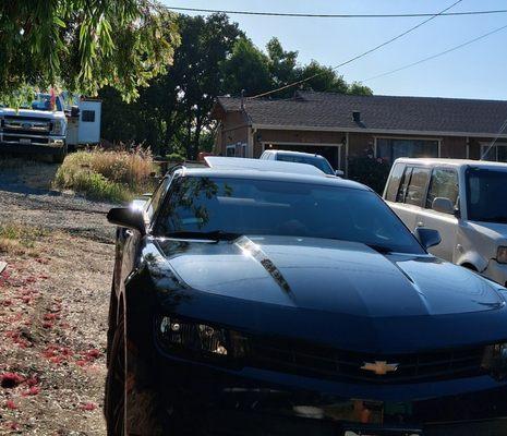 I need a title loan and I can't find one