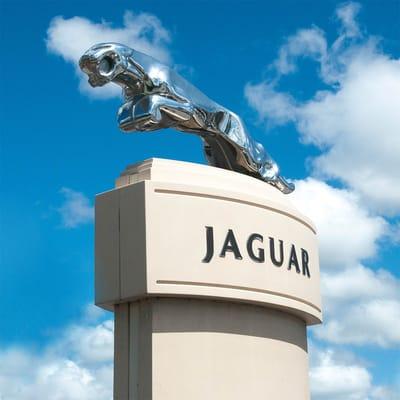 Jaguar Sarasota