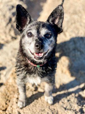 Folsom Lake State Recreation Area