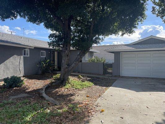 Karely Sanchez - eXp Realty