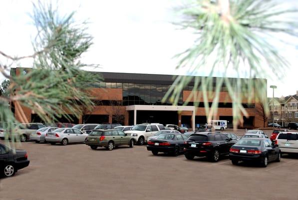 Chris S Mehlhoff, DDS