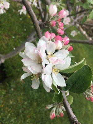 Toot-a-Lou Family Daycare