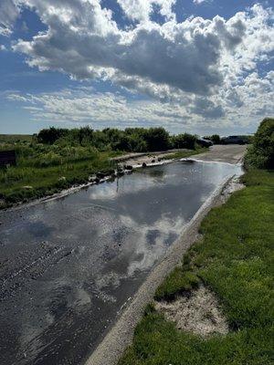 Maria Hickey & Associates