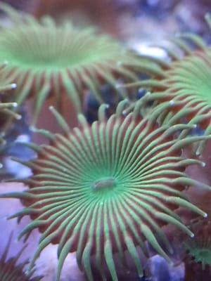Aquatic Technology