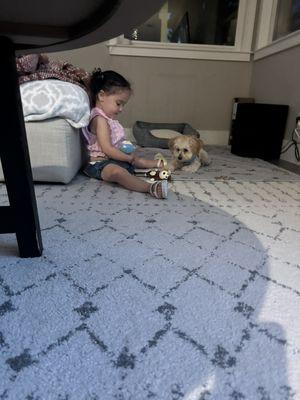 Advanced Veterinary Medical Center