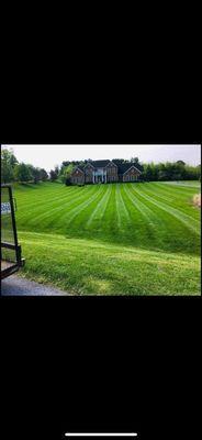 Benitez Landscaping Services