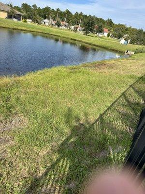 Clean Cuts of Saint Augustine