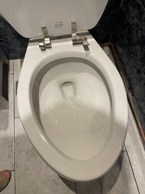 Bathroom toilet doesn't have a SEAT