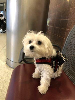 Dr Smallz makes house calls!