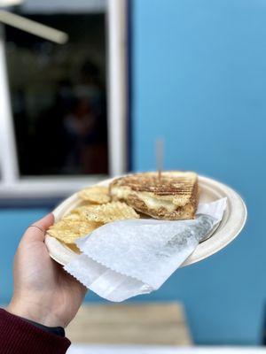 Turkey Panini