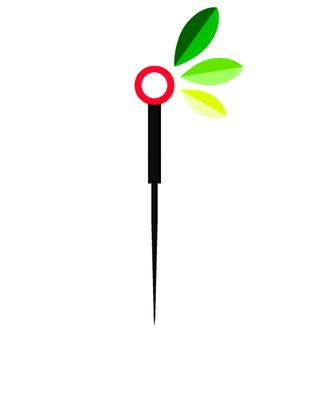 Su Acupuncture  & Herbal Medicine