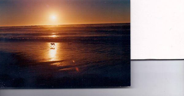 Global Estates and Mortgage