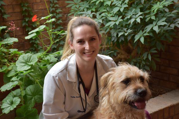 Brewer Animal Hospital