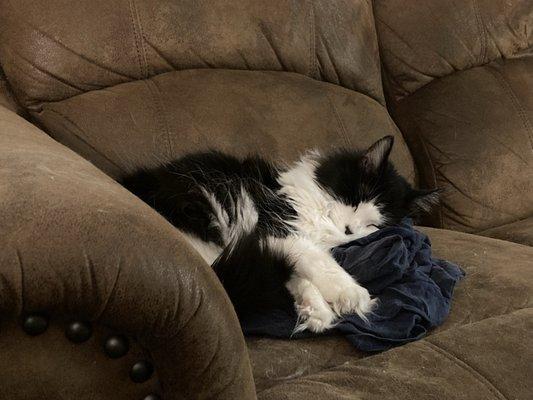 ABC Vaccination Clinic