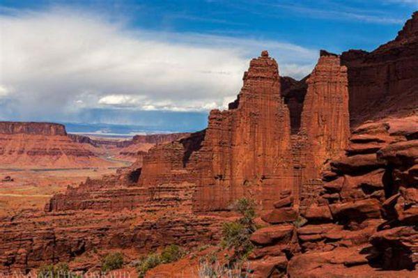 Look at our backyard