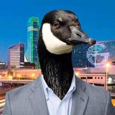 We'll shop your rates with over 30 A rated carriers who then compete for your business. Call Today!