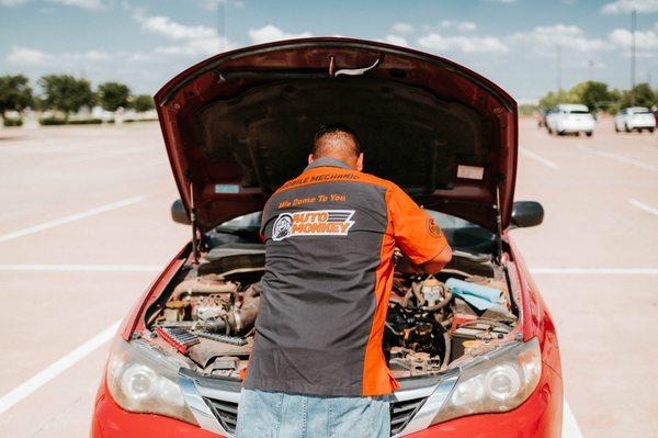 Auto Monkey - Houston