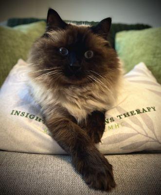 Insightful Solutions Therapy