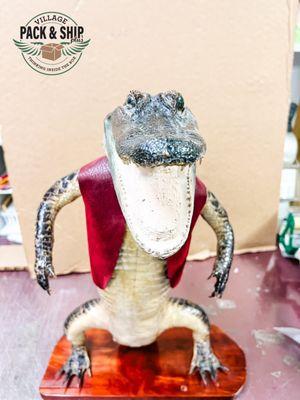 Village Water Company