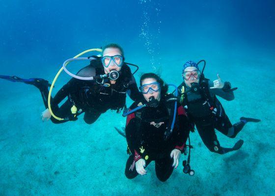 Diver Dan's Scuba & Aquatic Center