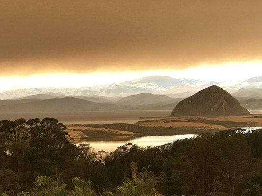 Barbi Breen-Gurley Sea Horse Ranch