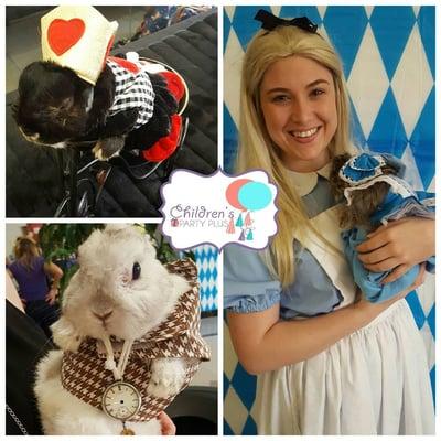 Children's Party Plus