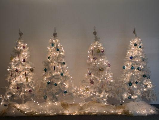 Graceful Expressions Dance Education