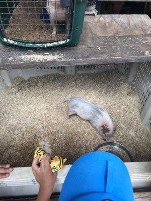 West Coast Blessed Ranch