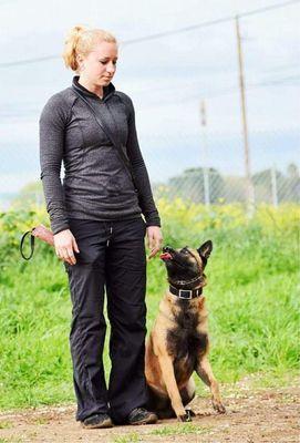 Beth's K9 Training