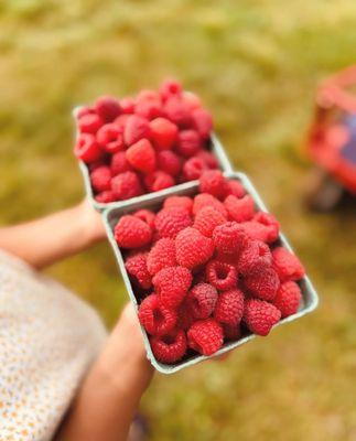 Country Blossom Farm