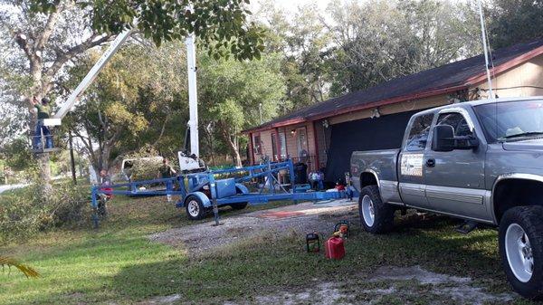 Pensacola Tree Service