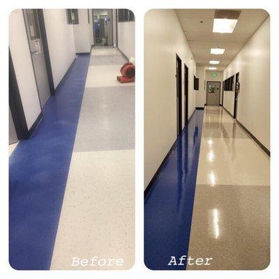 Green Star General Building Services