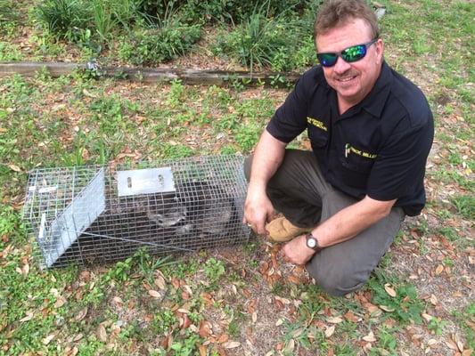 Highspeed Animal Trapping