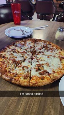 Large cheeseburger pizza